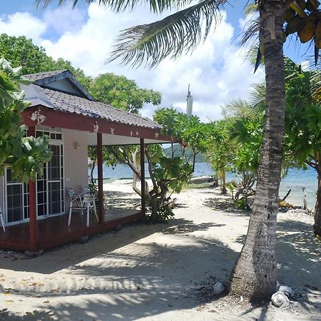 Pension AtgerVaitoare  エクステリア 写真