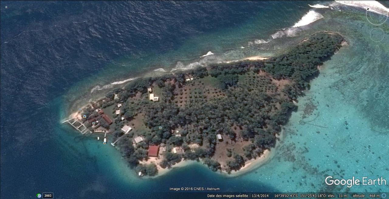 Pension AtgerVaitoare  エクステリア 写真