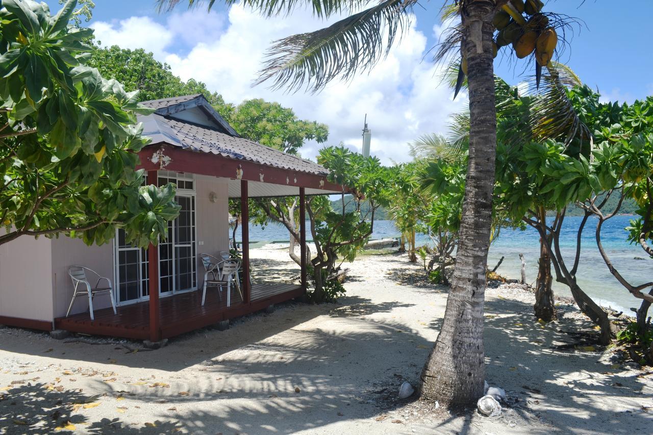 Pension AtgerVaitoare  エクステリア 写真