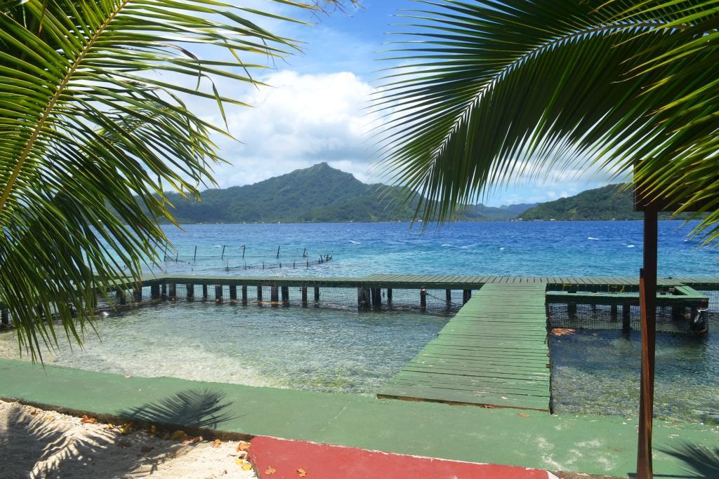 Pension AtgerVaitoare  エクステリア 写真